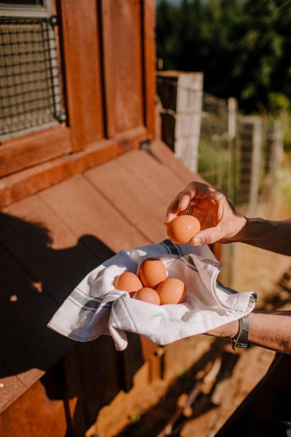 هود ريفر Sakura Ridge The Farm & Lodge المظهر الخارجي الصورة